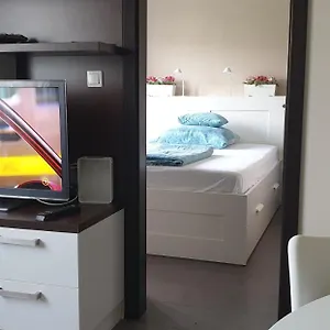  公寓 蓝球公寓